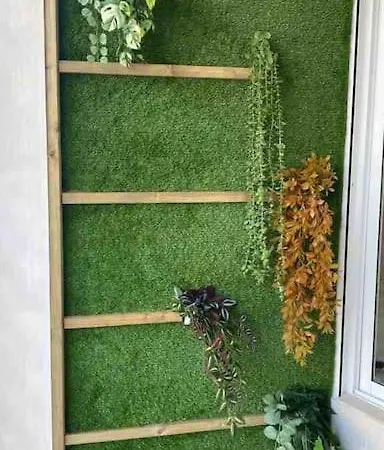 Planta Baja Moderna Y Nueva A Estrenar En El Centro Ciudad 2 Y 2 Banos * エルチェ